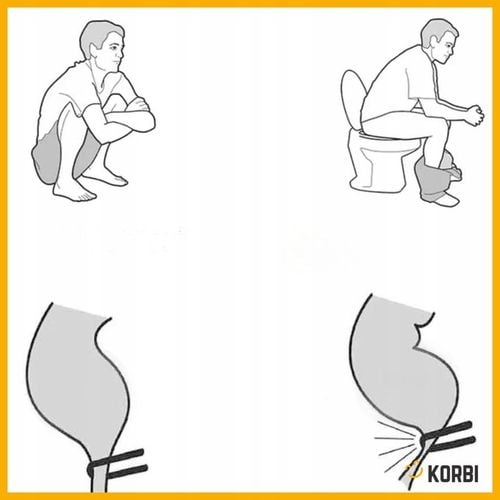 PODNÓŻEK TOALETOWY PODEST ŁAZIENKOWY TABORET BIAŁY na Arena.pl