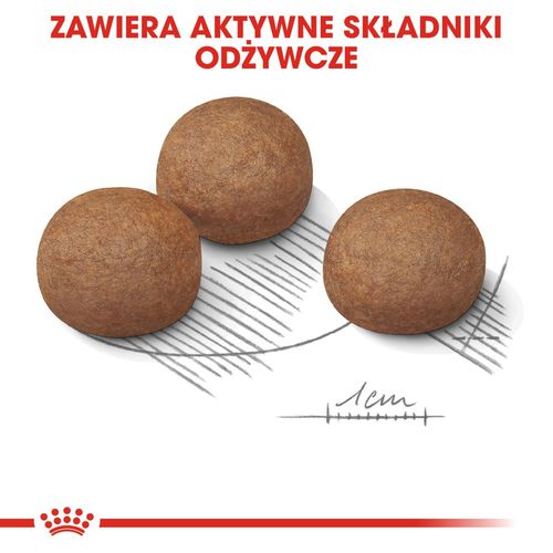 royal canin ccn maxi digestive care 12kg na Arena.pl