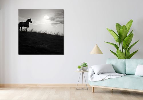 Obraz 100x100cm Księżycowa Straż na Arena.pl