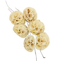 Shola lotos 6 cm na druciku opakowanie 6 szt