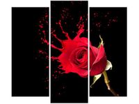 90 80CM OBRAZ T3 ELEM RÓŻANY PLUSK DRUK ŚCIENNY