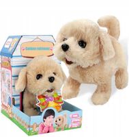 PIES GOLDEN INTERAKTYWNY PIESEK SZCZEKA CHODZI MACHA OGONEM ZWIERZAK