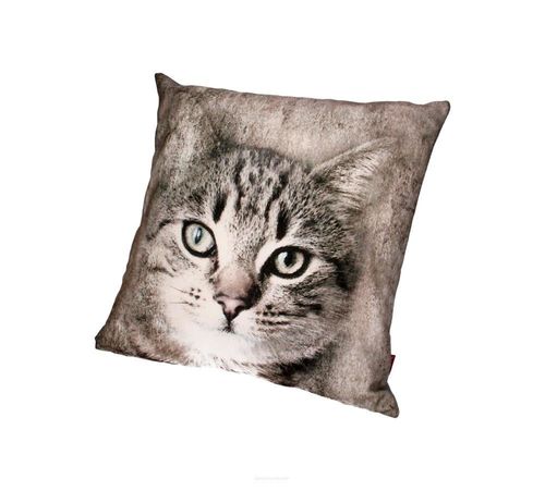 Poduszka FILON na Arena.pl