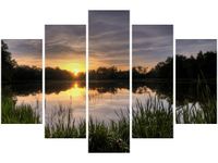 product-compare-58695125