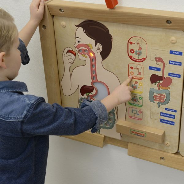 MASTERKIDZ Tablica Edukacyjna Układ Trawienny zdjęcie 5
