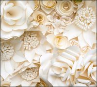 product-compare-62180102