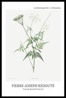 product-compare-59607666