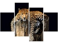 OBRAZ DZIKI KOT LAMPART