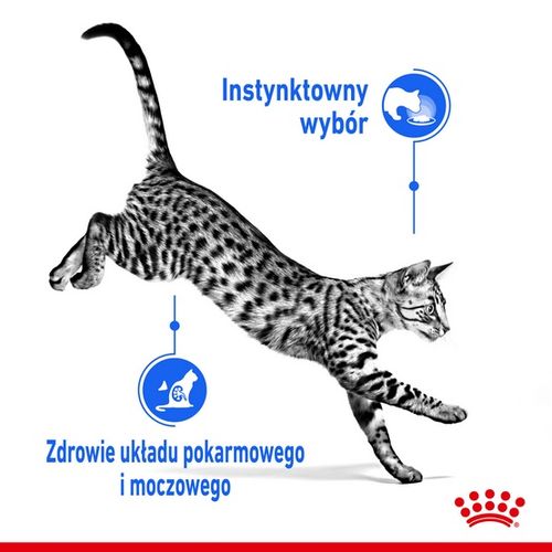 Karma dla kota niewychodzącego, po sterylizacji i kastracji Royal Canin 85g na Arena.pl