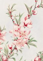 Plakat 13x18cm Peach Tree, Morikaga Japoński Vintage