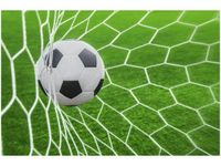 60X40CM PIŁKA BRAMCE OBRAZ