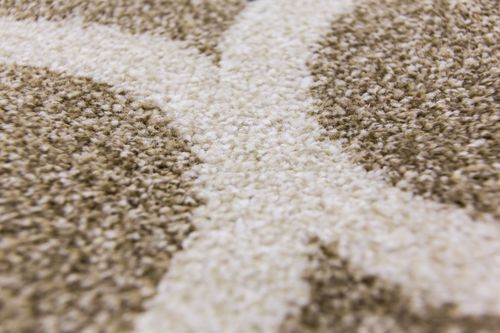 Dywan Carpetforyou Talizman 80x150 na Arena.pl