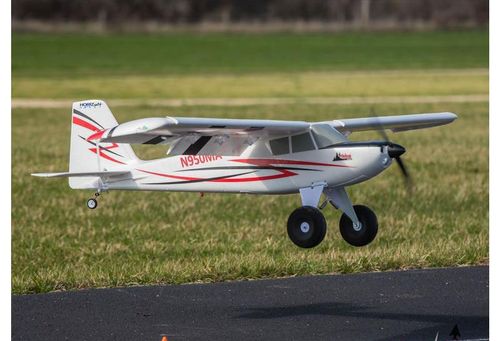 Timber BNF Basic na Arena.pl