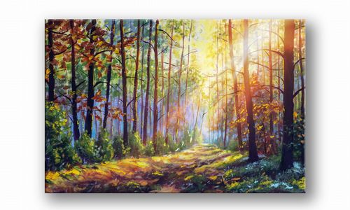 OBRAZ NA PŁÓTNIE 086 Promienie słońca 30x20cm na Arena.pl