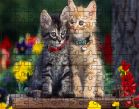 Puzzle Koty