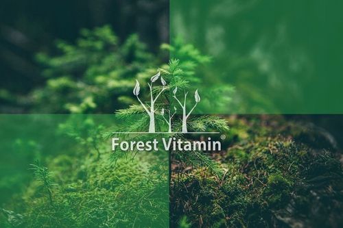 PURE CREATINE 500g KREATYNA MONOHYDRAT SIŁA MASA na Arena.pl