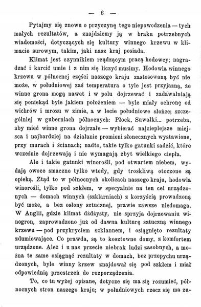 Kultura winorośli Konrad Niklewicz reprint 1893 zdjęcie 7