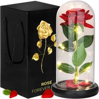 Wieczna róża w szkle LTC z oświetleniem LED 22 cm czerwona