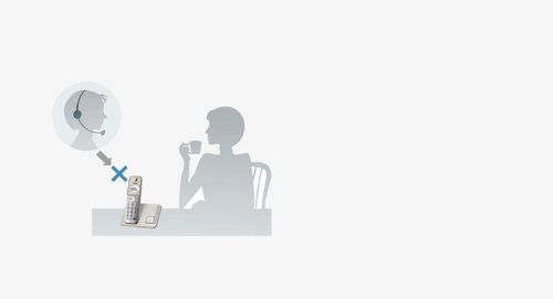 TELEFON PANASONIC KX-TGE210PDN na Arena.pl