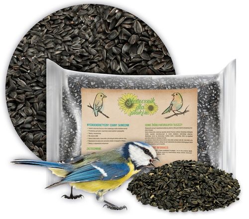 CZARNY SŁONECZNIK ZIARNO POKARM DLA PTAKÓW 5KG ZDROWY I POŻYWNY NA ZIMĘ na Arena.pl