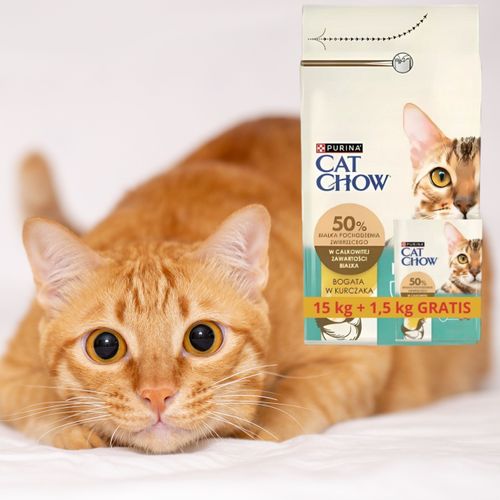 sucha karma dla kota z kurczakiem cat chow hairball 15 kg + 1.5 kg gratis na Arena.pl