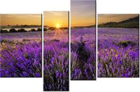 130CM 85 OBRAZ 4 ELEM POLE LAWENDY ŚCIENNY