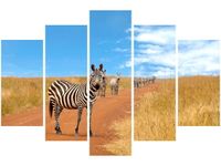 100CM 150CM OBRAZ 5 ELEM CIEKAWSKIE ZEBRY ŚCIENNY