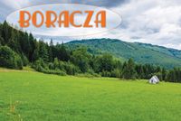 Boracza – magnes