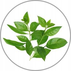 Maska do włosów cienkich przetłuszczających się i na skalp WAX Aloes 480ml na Arena.pl