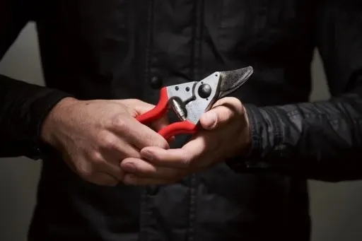 SEKATOR FELCO 6 + PIŁA FELCO 601 ZESTAW SPECJALNY zdjęcie 2