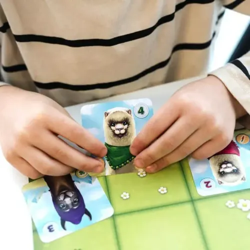 Lamy i Alpaki. Gra rodzinna na Arena.pl