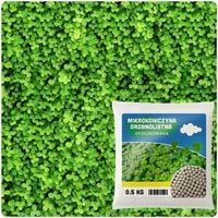 MIKROKONICZYNA DROBNOLISTNA KONICZYNA TRAWNIK NASIONA 0,5KG OTOCZKOWANA
