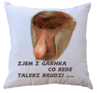 Poduszka dla Janusza