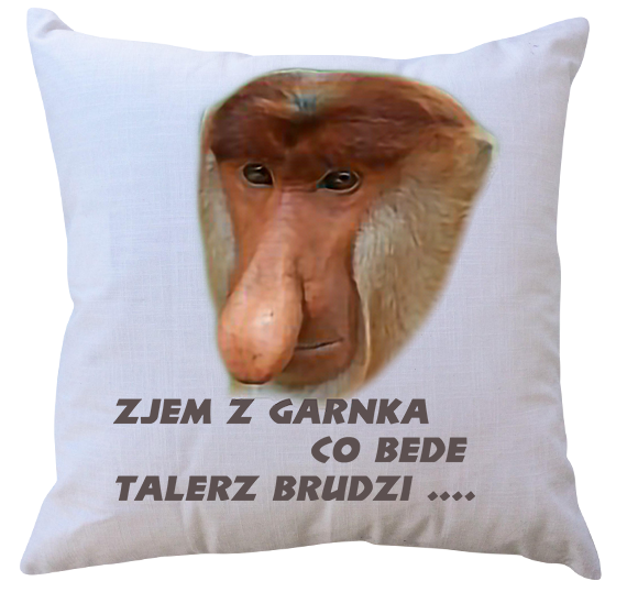 Poduszka dla Janusza zdjęcie 1