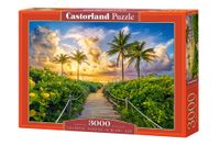 Puzzle 3000-elementów Colorful Sunrise in Miami, USA C-300617