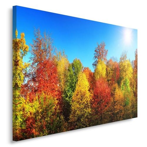 Obraz na płótnie - Canvas, Jesienne drzewa 40x30 na Arena.pl