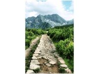 OBRAZ POLNA KAMIENISTA DROGA