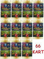 KARTY PIŁKARSKIE PANINI 2025 FIFA 365 ADRENALYN XL SASZETKA 6 KART x 11