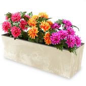 Skrzynka balkonowa wkład 77x24cm kremowy