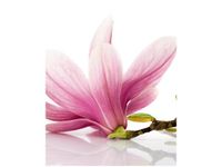 40X50CM RÓŻOWE MAGNOLIE OBRAZ