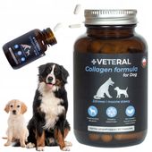 WITAMINY dla PSA NA STAWY KOLAGEN ZDROWE STAWY Collagen Formula Dysplazja