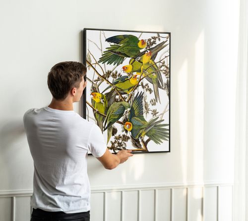 Plakat cyfrowy do wydruku papugi na Arena.pl
