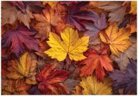 Fototapeta Na Flizelinie Do Sypialni Salonu Liście 350x250