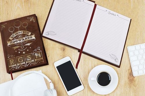 Notes Quidditch - HARRY POTTER na Arena.pl