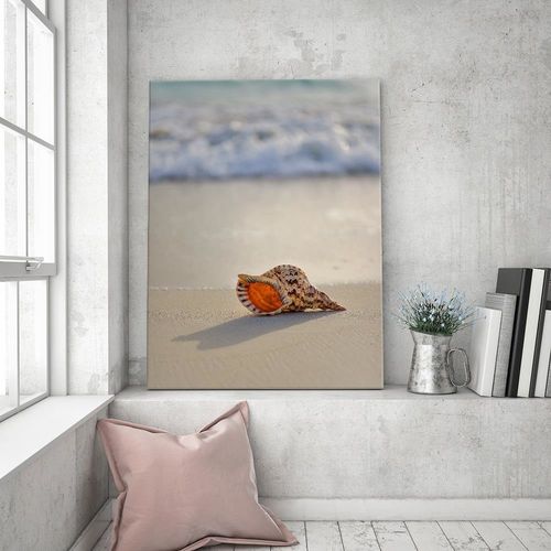 Deco Panel, Muszelka na plaży 40x60 na Arena.pl
