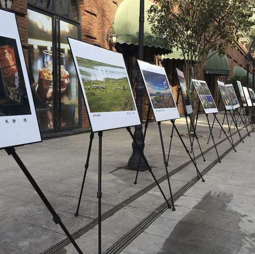 Sztaluga Malarska 23669 zdjęcie 11