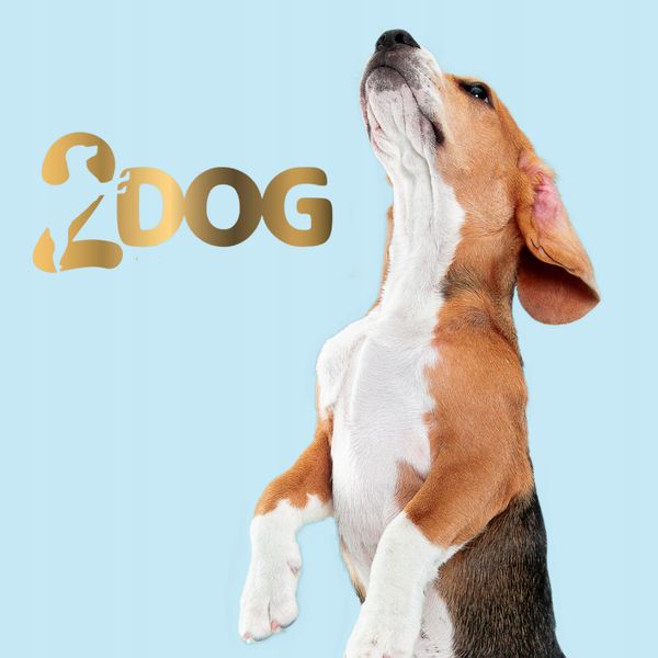 2Dog Mini Kiełbaski ZAJĄC 1 Kg zdjęcie 4