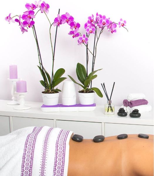 Ogródek domowy Minigarden Basic S +Pots - biały zdjęcie 5