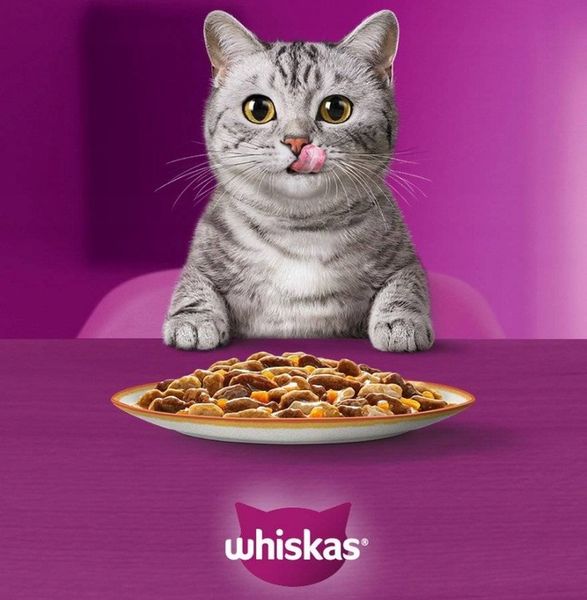 WHISKAS MOKRA KARMA DLA KOTA RYBNE SMAKI W GALARETCE SASZETKI 40X85 G zdjęcie 5
