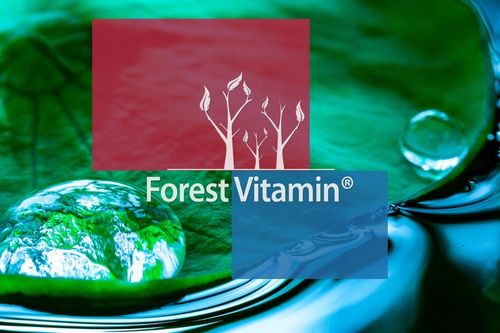 FOREST Vitamin Kryl 500mg 60 vcaps na Arena.pl